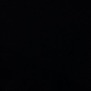 Meet your Posher, Griffin